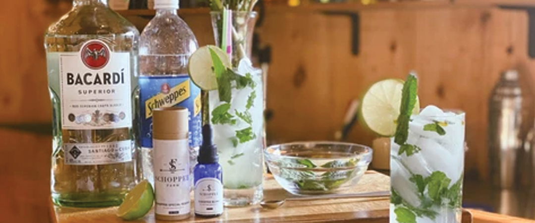 Mojito! with Schoppee Special Mango