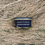Pasture Suver Haze - Flower