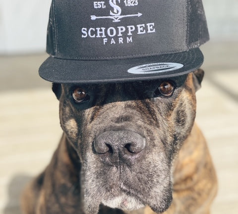 Schoppee Farm Trucker Hat