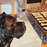 Dog Treats • Full Spectrum