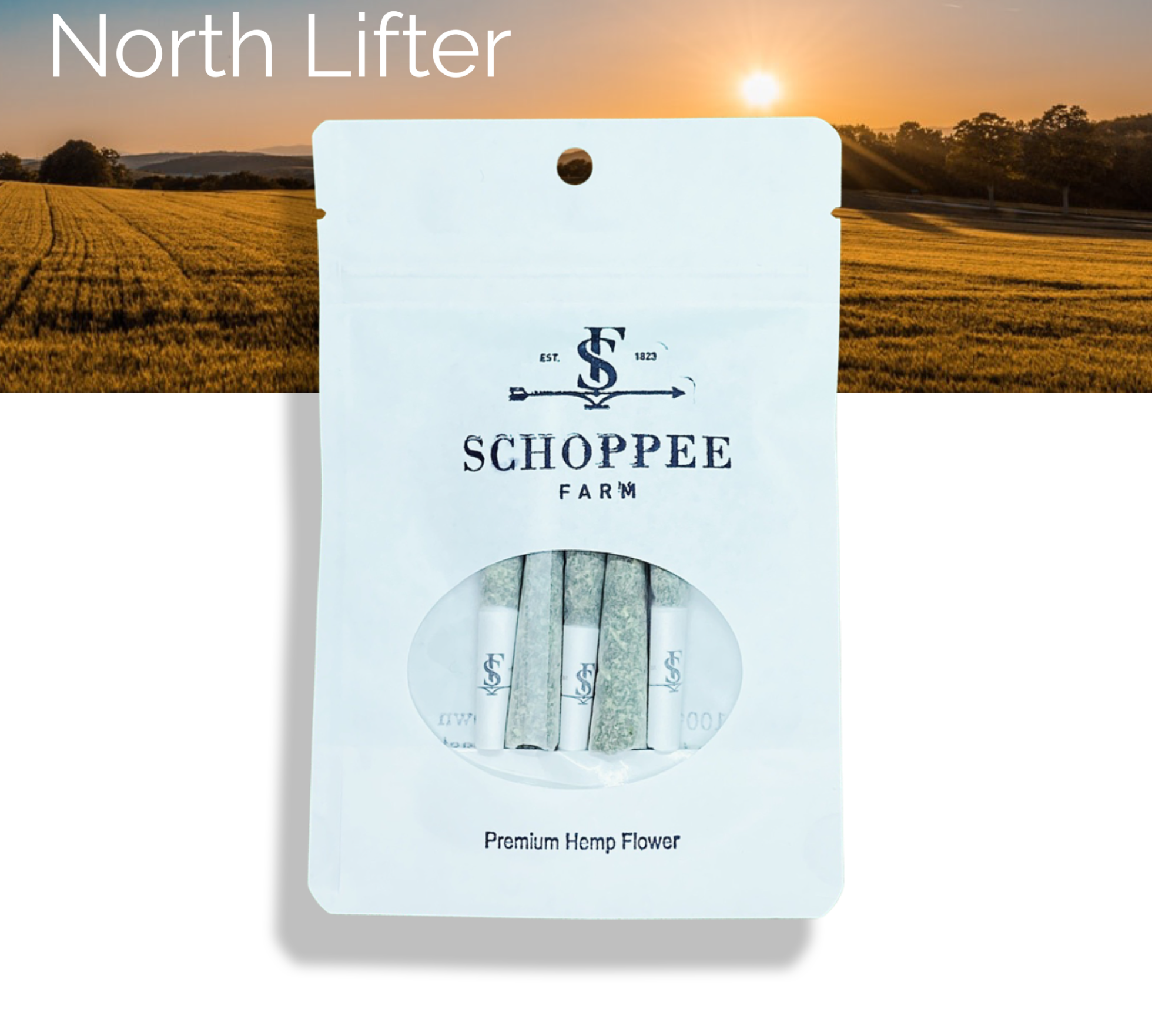 North Lifter - Pre-roll