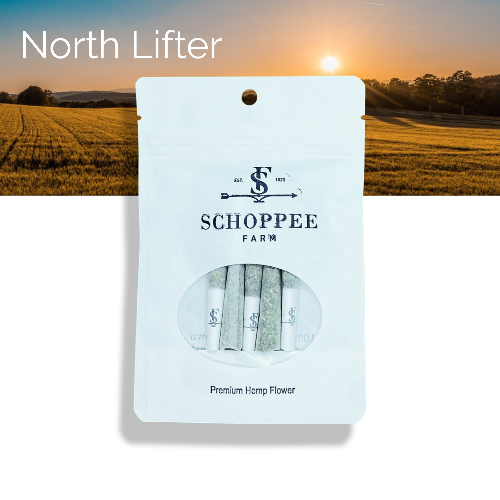 North Lifter - Pre-roll