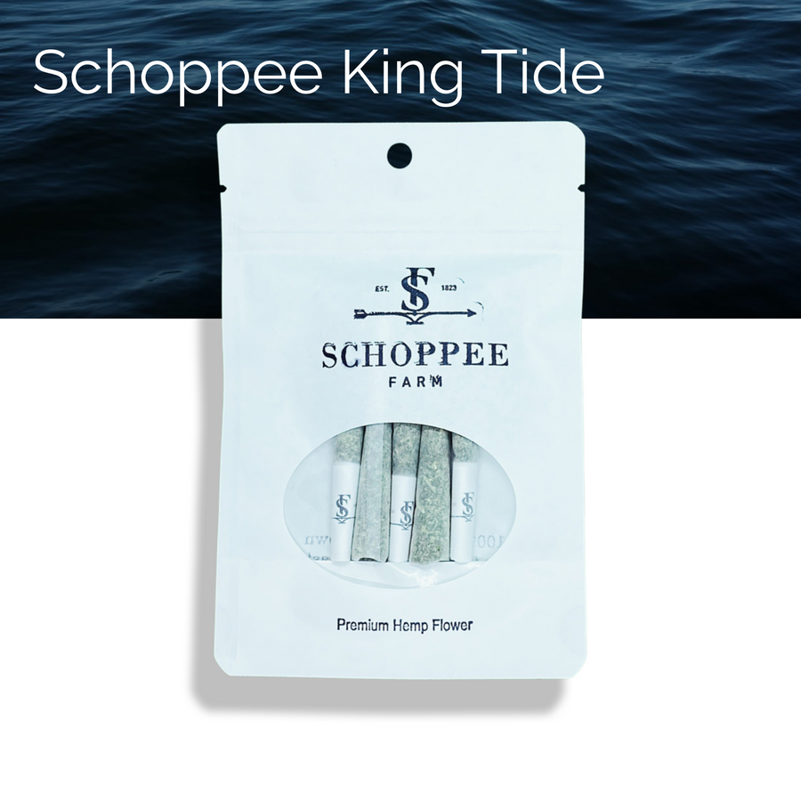 Schoppee King Tide - CBD + CBG - Hand made singles