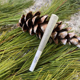 Maine Pine - Pre-roll