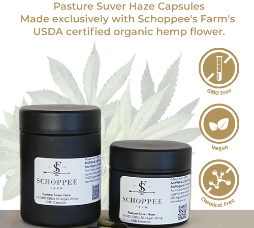Pasture Suver Haze Capsules
