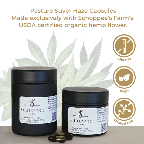 Pasture Suver Haze Capsules
