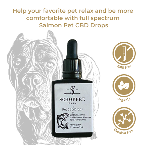 Pet CBD Drops • Wild Alaskan Salmon