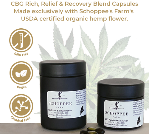 CBG Rich, Relief & Recovery Blend Capsules