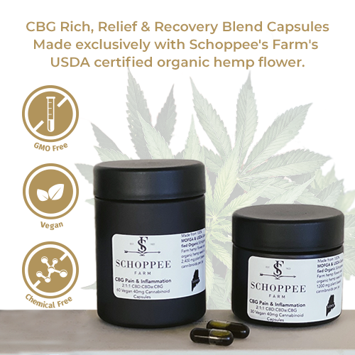 CBG Rich, Relief & Recovery Blend Capsules