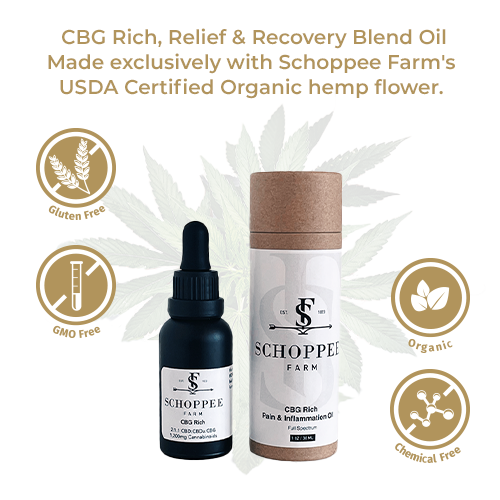 CBG Rich, Relief & Recovery Blend Oil