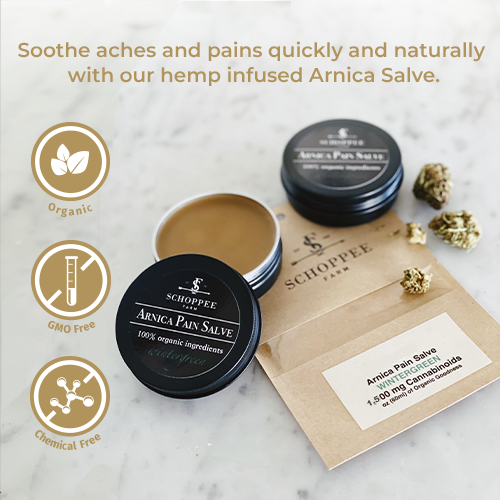 Arnica Pain Salve 1,500mg