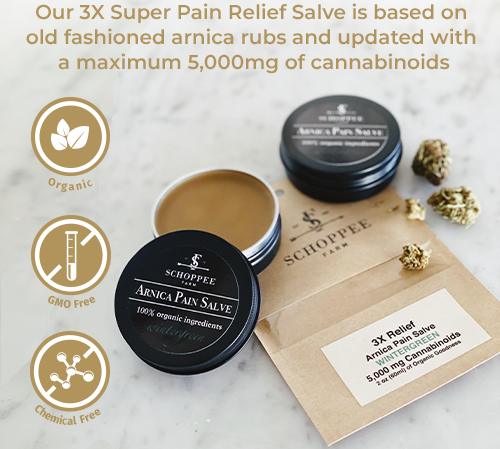 Maximum Strength Arnica Pain Relief Salve 5,000mg