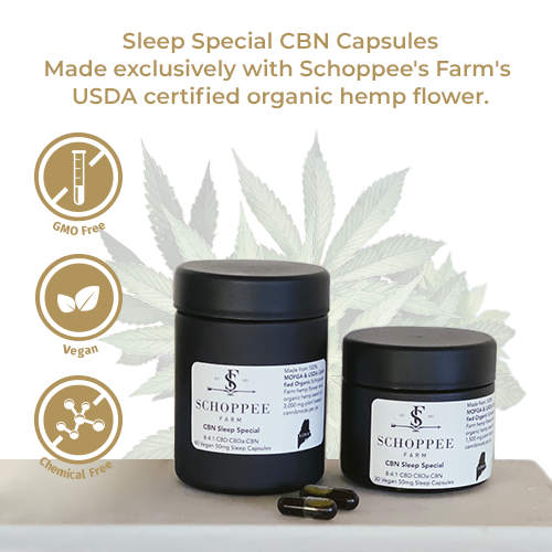 Sleep Special CBN Capsules