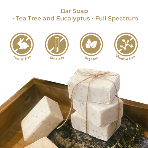 Bar Soap • Tea Tree and Eucalyptus